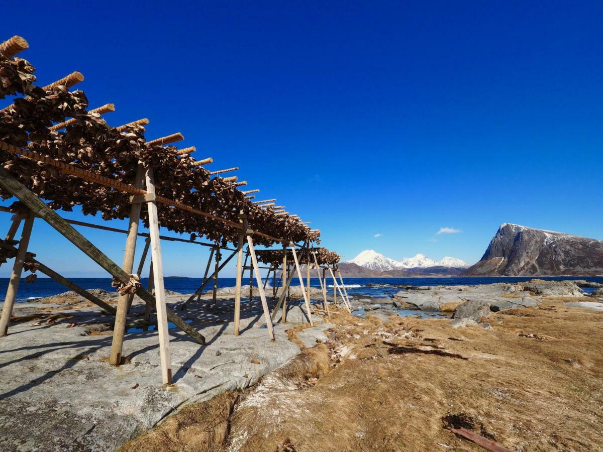 Midnight Sun View Lofoten Leknes Exterior foto